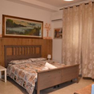 Bed And Breakfast Diana